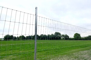 Blewbury Dog Park