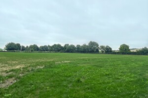 Blewbury Dog Park